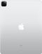 iPad Pro 12.9 2020 Wi-Fi 256 GB Silver (MXAU2)