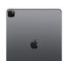 iPad Pro 12.9 2020 Wi-Fi + LTE 256 GB Space Gray (MXFX2/MXF52)